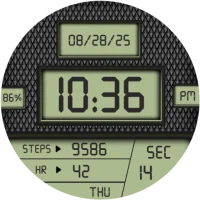 Digitec LCD Display WatchFace