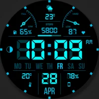 WFP 104 LCD watch face
